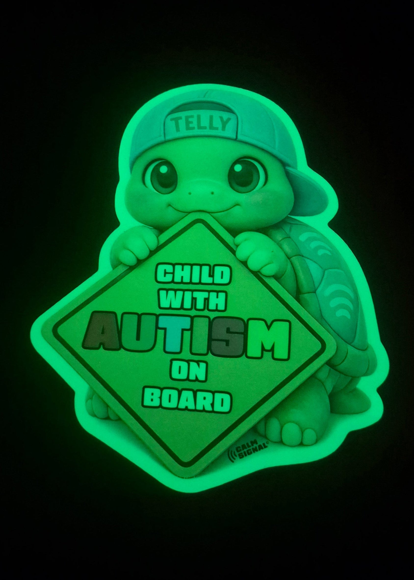 Telly - Autism on Board