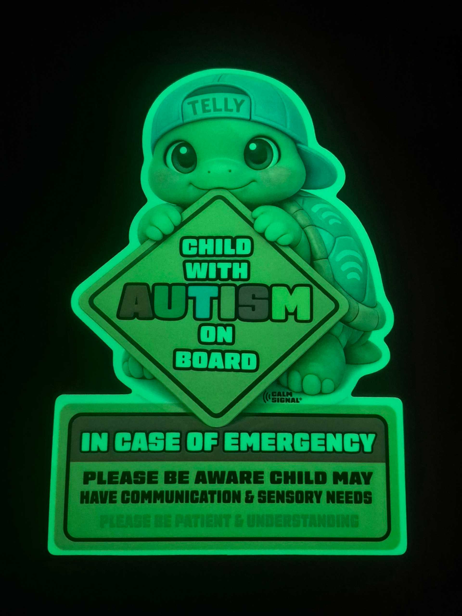 Telly - Sensory Needs