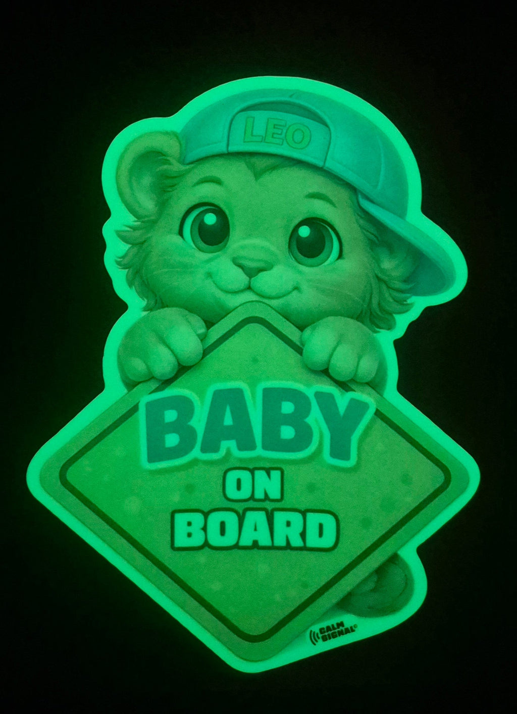 Leo - Baby on Board